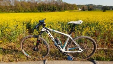 Anello gravel a Custoza — natura a Verona